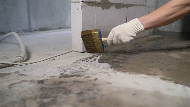 SJ Waterproofing Pros Waterproofing coverage map for Dansville, NY and surrounding area